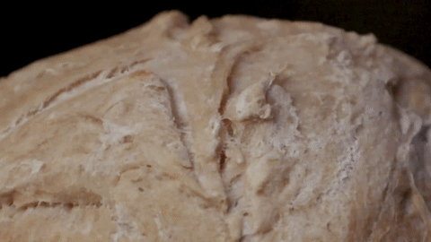 Sourdough Bread